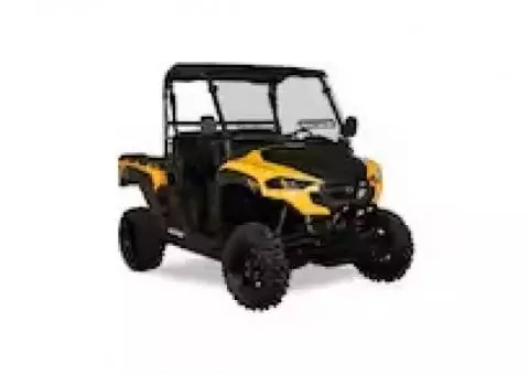 CubCadet ATV